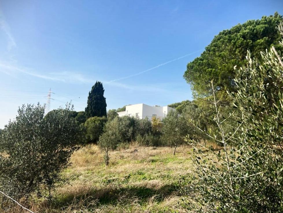 אולביה Agreen Country House מראה חיצוני תמונה